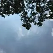 もりアーティの画像
