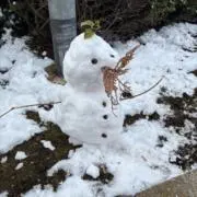 ゆんの画像