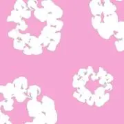 ゆゆ