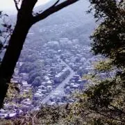 断捨離革命の画像