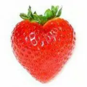 イチゴの画像