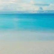 ゆに子の画像
