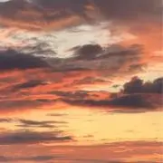 Hikariの画像