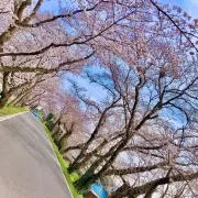 M_style✌︎希望額はコメントまでの画像