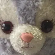ちょこの画像