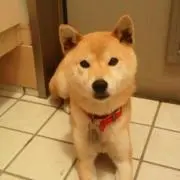 まるの画像