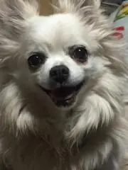 Myu45の画像