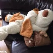 リコちゃん( ^ω^ )