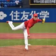 お魚カープの画像