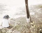 ここ