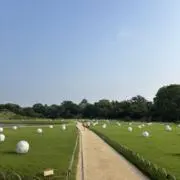 むぎの画像