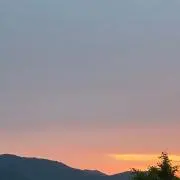 さちの画像