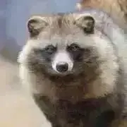 みぃ