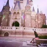 Yぴょんの画像