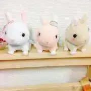 ごはんの画像