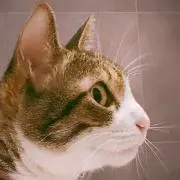 ゆきのの画像
