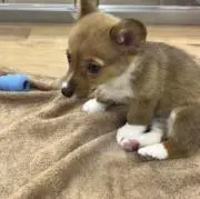 あの画像