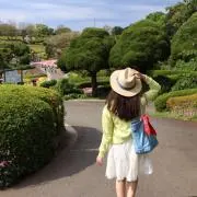 花菜の画像