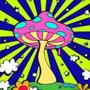 きのこの画像