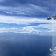 めだかの画像