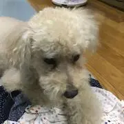 くうの画像