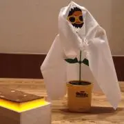 naoの画像