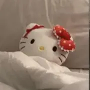 ‎˚ ‎₊⋆。.ʚはにɞ .。⋆ ‎₊˚の画像