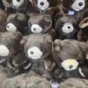 Nozeの画像