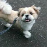 ふーた0104の画像