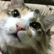 ＊花＊