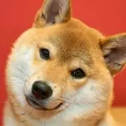 博康の画像