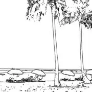 toshiの画像