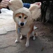 ginnaの画像
