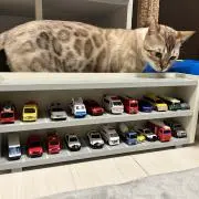 Yuki プロフ必読の画像