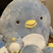なおの画像