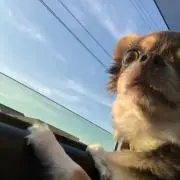 ひぃの画像