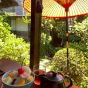 みの画像