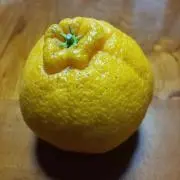 ユウの画像