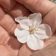 メル58201の画像