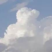 みるの画像