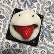kyoの画像