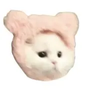 チャコグマの画像