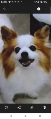 あっちゃん
