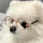 Sera ꒰購入前にプロフィール確認を꒱の画像