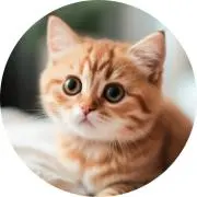 ☆やす☆の画像