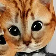 ＊*