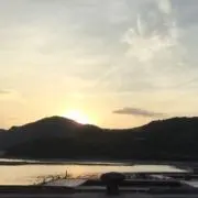 tomiの画像