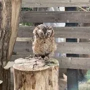 ぬおー　プロフ欄確認必須！