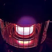 ルネさんの画像