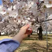 heartbeat☆ミプロフ必読！の画像